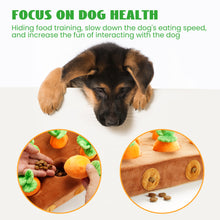 Load image into Gallery viewer, Nocciola 12 PCS Carrot with Filed Enrichment Dog Toys
