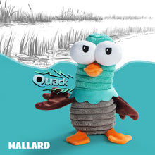 Load image into Gallery viewer, Nocciola 5 Funny Strange Squeak Sounds Dog Toys

