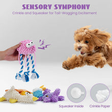 Load image into Gallery viewer, Nocciola 5 Packs Chenille Fabric Squeaky Dog Toys
