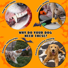 Lade das Bild in den Galerie-Viewer, Nocciola 5 Stück Halloween-Quietschspielzeug für Hunde, Plüsch-Hundespielzeug ohne Füllung für Welpen, kleine, mittelgroße und große Hunde 
