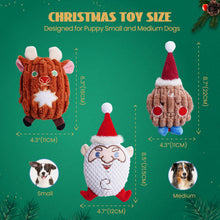 Lade das Bild in den Galerie-Viewer, Nocciola 3-teiliges Weihnachtsspielzeug für Hunde, Knister- und Quietschspielzeug für Welpen, kleine und mittelgroße Hunde 
