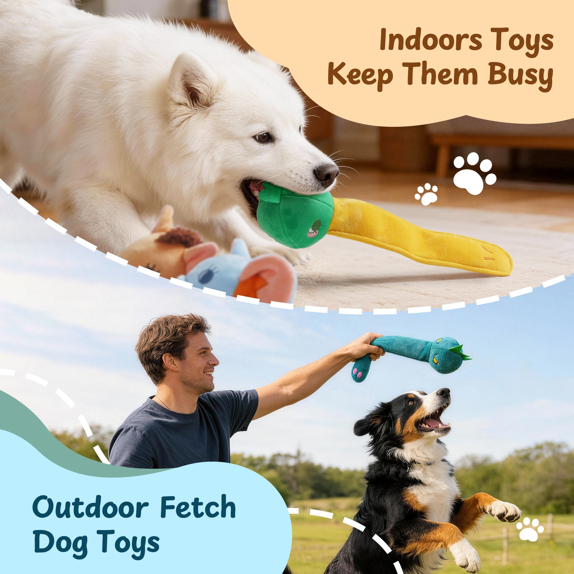 dog playing fetch with squeaky toy outdoors