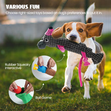 Load image into Gallery viewer, Nocciola 5PCS Water Bottle Dog Toys - Crinkle Squeaky Doy Toys

