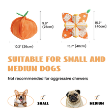 Load image into Gallery viewer, Nocciola Orange Hide and Seek Plush Dog Toys
