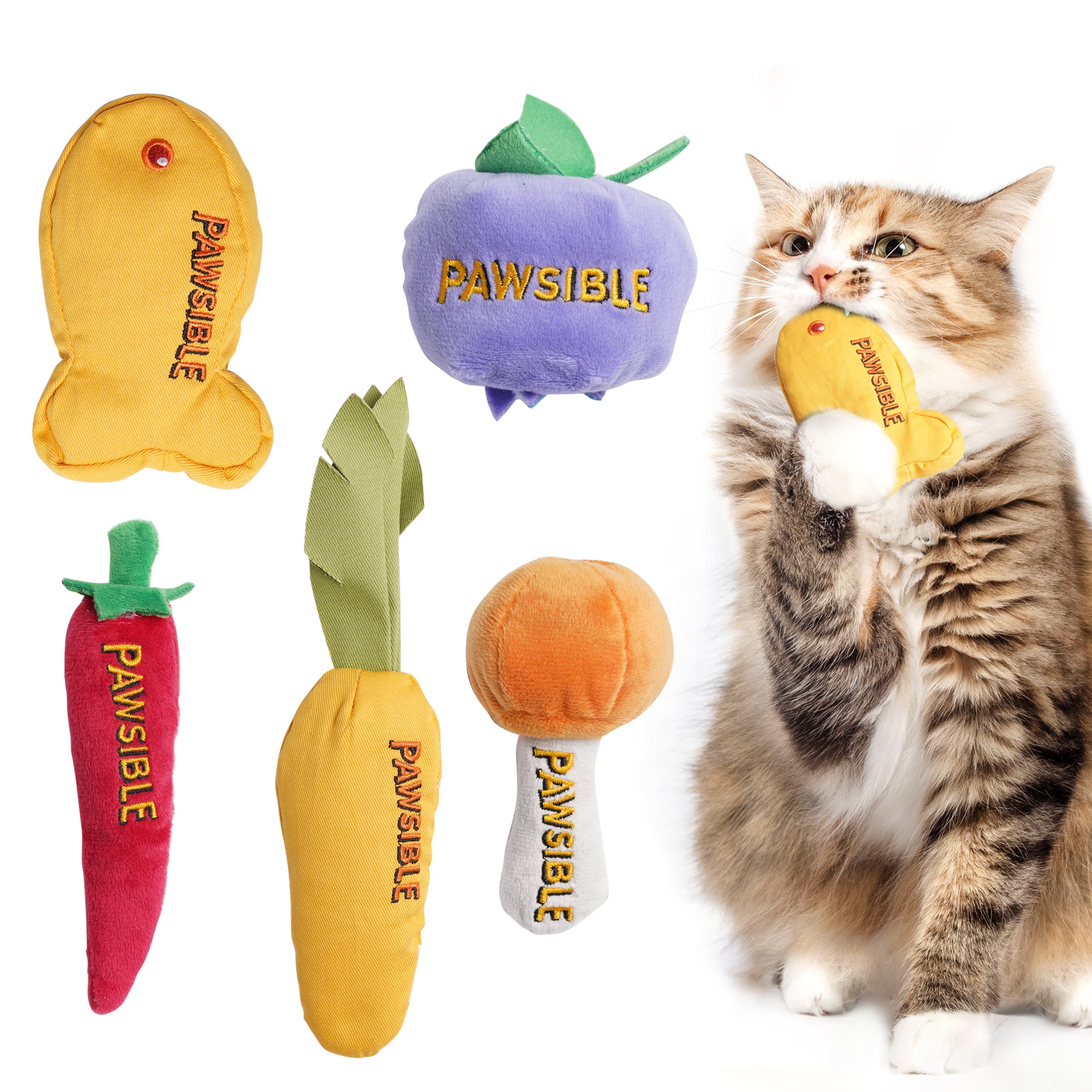 5 Pack Catnip Toys for Indoor Cats