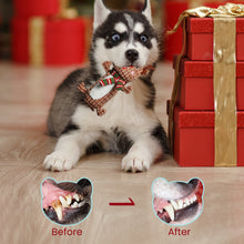 Load image into Gallery viewer, Nocciola Christmas Dog Toy, Durable Reindeer Squeaky Toys

