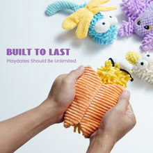 Load image into Gallery viewer, Nocciola 5 Packs Chenille Fabric Squeaky Dog Toys
