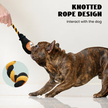 Load image into Gallery viewer, Nocciola 6 PCS Halloween Dog Squeaky Toys for Aggressive chewers
