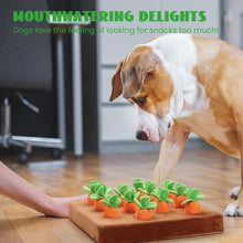 Load image into Gallery viewer, Nocciola 12 PCS Carrot with Filed Enrichment Dog Toys
