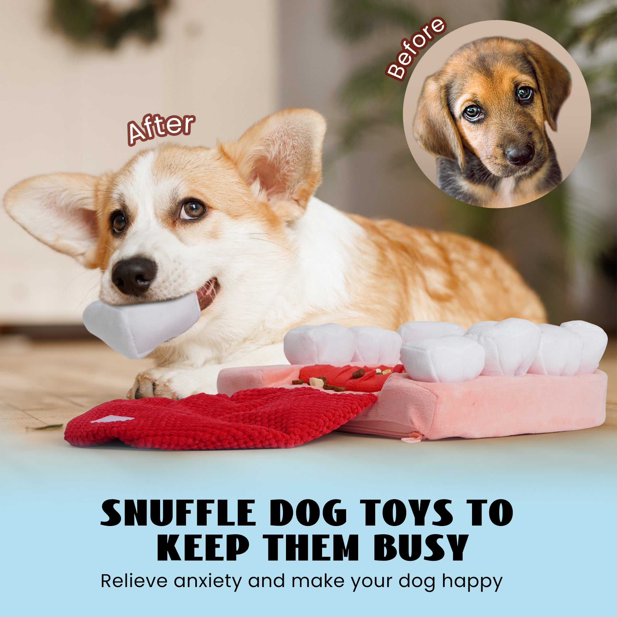 Nocciola インタラクティブ歯犬用おもちゃ – エンリッチメントパズル