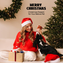 Lade das Bild in den Galerie-Viewer, Nocciola 3-teiliges Weihnachtsspielzeug für Hunde, Knister- und Quietschspielzeug für Welpen, kleine und mittelgroße Hunde 
