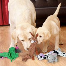Load image into Gallery viewer, Nocciola 5PCS Water Bottle Dog Toys - Crinkle Squeaky Doy Toys
