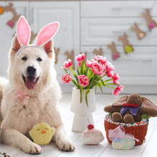 Lade das Bild in den Galerie-Viewer, Nocciola 5 Pack Easter Dog Toys with a Basket
