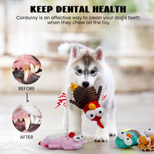 Load image into Gallery viewer, 5 PCS Squeaky Dog Toys for Small Dog Toys for Aggressive Chewers
