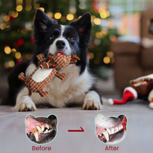 Load image into Gallery viewer, Nocciola Christmas Large Dog Toys, 3 Durable Squeaky Toys Plush Stuffed Chew Toys and a Big Stocking
