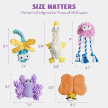 Load image into Gallery viewer, Nocciola 5 Packs Chenille Fabric Squeaky Dog Toys
