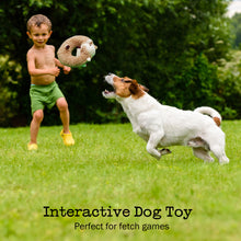 Load image into Gallery viewer, Fuzzwoof Squeaky Plush Alpaca Dog Toy
