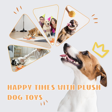 Load image into Gallery viewer, Nocciola Orange Hide and Seek Plush Dog Toys
