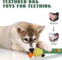 Load image into Gallery viewer, Nocciola 2 in 1 Duck Dog Toy with a Large Rubber Squeaker
