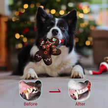 Load image into Gallery viewer, Nocciola Christmas Large Dog Toys, 5 Durable Squeaky Toys Plush Stuffed Chew Toys and a Big Stocking

