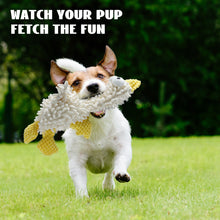Load image into Gallery viewer, Nocciola 5 Packs Chenille Fabric Squeaky Dog Toys
