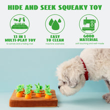 Load image into Gallery viewer, Nocciola 12 PCS Carrot with Filed Enrichment Dog Toys
