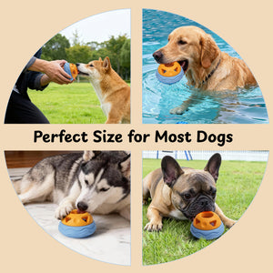 Nocciola Treat Dispensing Dog Toy Set - Back View | Nocciola Pet Toys