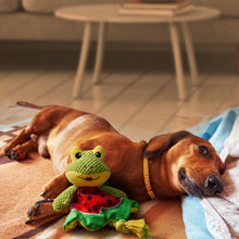 Load image into Gallery viewer, Frog Dog Squeaky Toys for Aggressive chewers
