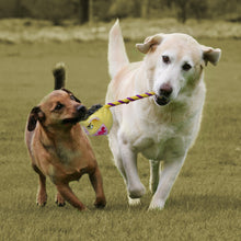 Load image into Gallery viewer, Pink Thorn Ball Pig Shape Dog Squeaky Toys for Aggressive chewers
