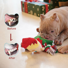 Load image into Gallery viewer, Nocciola Christmas Dog Toys, 5 Durable Squeaky Toys Plush Stuffed Chew Toys
