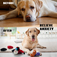 Load image into Gallery viewer, Nocciola 7 PCS Pawker Element Dog Toys with a Bag
