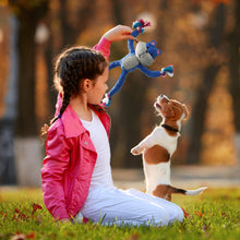 Load image into Gallery viewer, Nocciola Durable Dog Toy, Ideal for Small to Medium Dogs, Interactive with Crinkle and Squeaky Features
