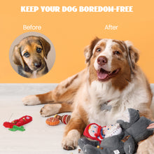 画像をギャラリービューアに読み込む, Nocciola Fairy Tale Squeaky Dog Toys
