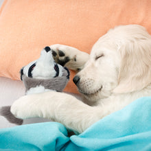 Load image into Gallery viewer, Nocciola 2-in-1 No Stuffing Water Bottle Dog Toys
