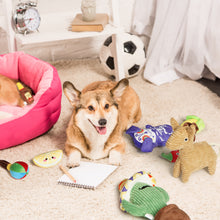 Load image into Gallery viewer, 9-in-1 Mexican Plush Squeaky Dog Toys
