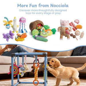 Nocciola Play Gym Enrichment Dog Toy - Package | Nocciola Pet Toys