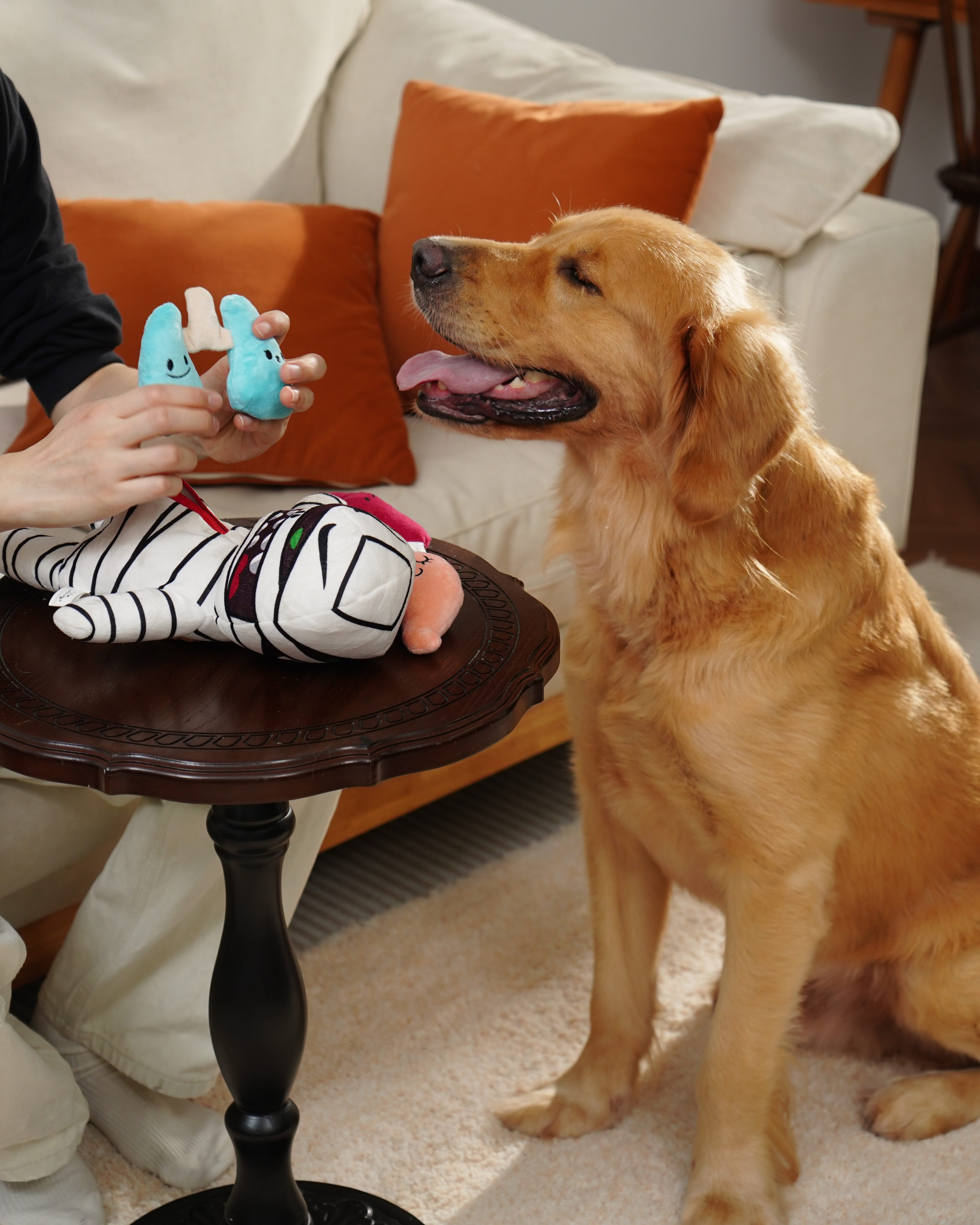 Exclusive Link for Candace