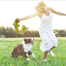 Lade das Bild in den Galerie-Viewer, Nocciola 5-teiliges Knister-Quietschspielzeug für Hunde | Plüsch-Hundespielzeug-Set ohne Füllung für kleine bis große Hunde
