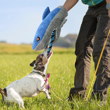 Load image into Gallery viewer, Nocciola Dog Interactive Squeaky Toys Cute Plush Toys for Small Medium &amp; Large Dogs(Shark)
