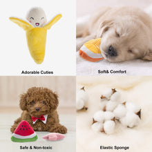 Lade das Bild in den Galerie-Viewer, Nocciola 12er-Pack Quietschspielzeug für kleine und mittelgroße Hunde | Tragetasche
