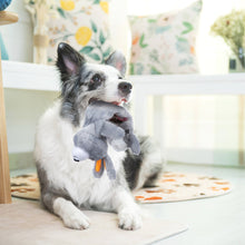 Lade das Bild in den Galerie-Viewer, Nocciola 5-teiliges 3D-Quietschspielzeug für Hunde | Hundespielzeug-Set ohne Füllung für kleine bis große Hunde
