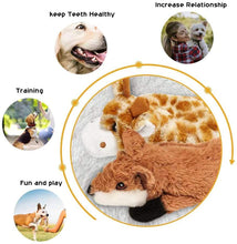 Load image into Gallery viewer, Nocciola 5 PCS Crinkle Plush Dog Toys
